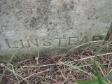 image of grave number 443841